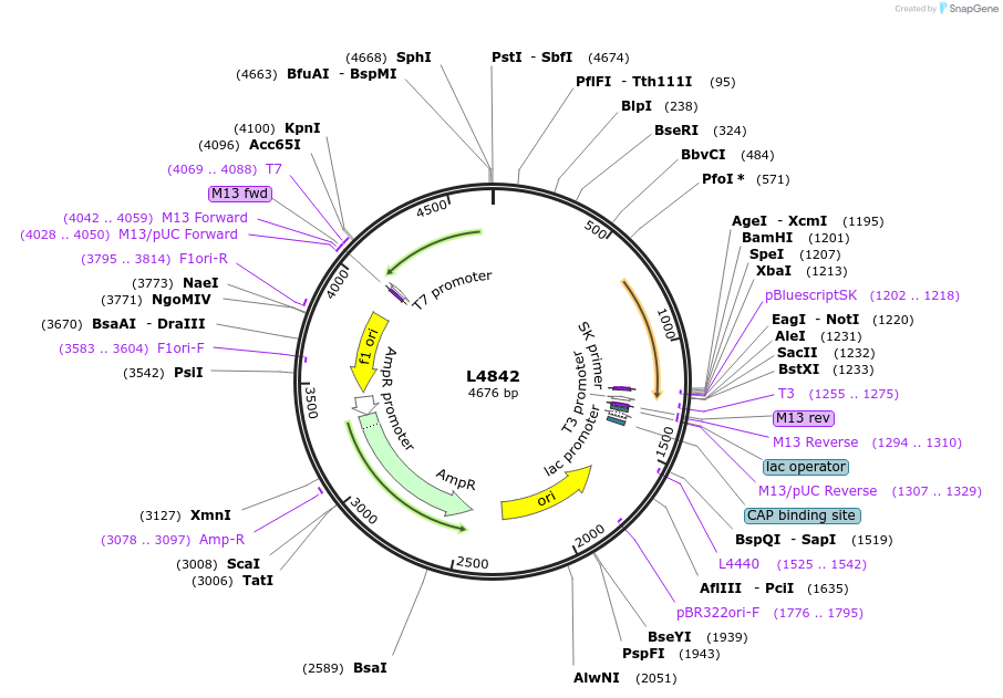 1685-plasmid-map-sequence-id-295