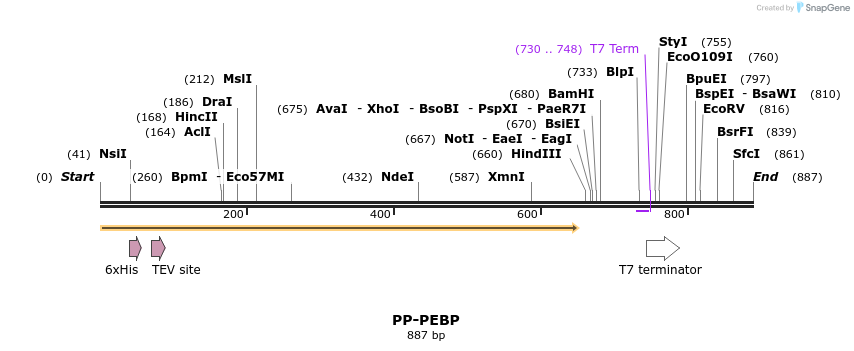 31281_map