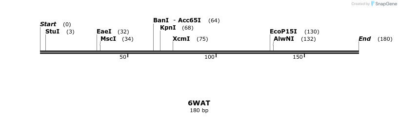 314551_map