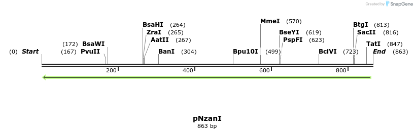 32983_map