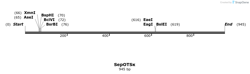 330071_map