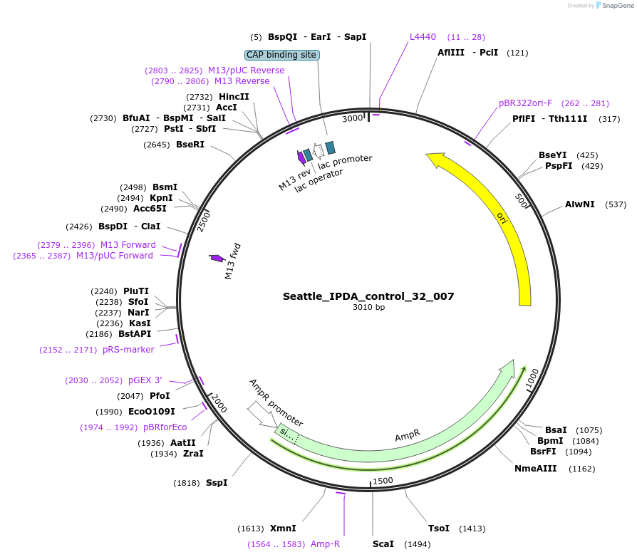 167353-plasmid-map-sequence-id-330506