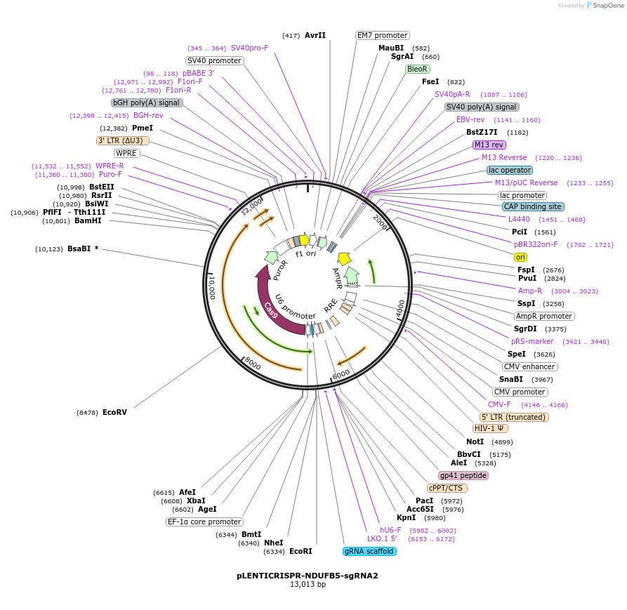 332799_map