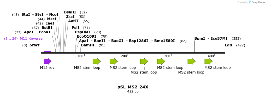 33404_map