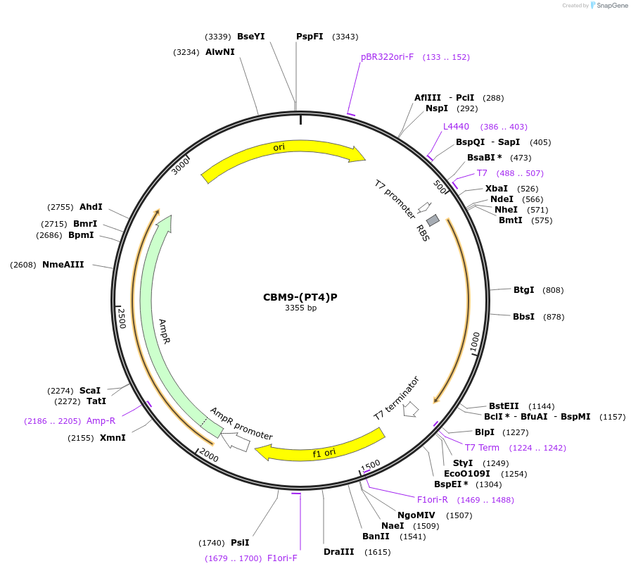 171708-plasmid-map-sequence-id-337915