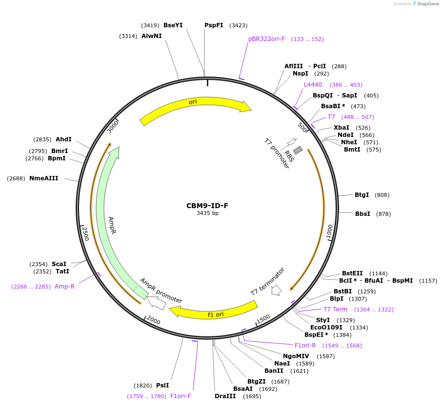 171639-plasmid-map-sequence-id-337918
