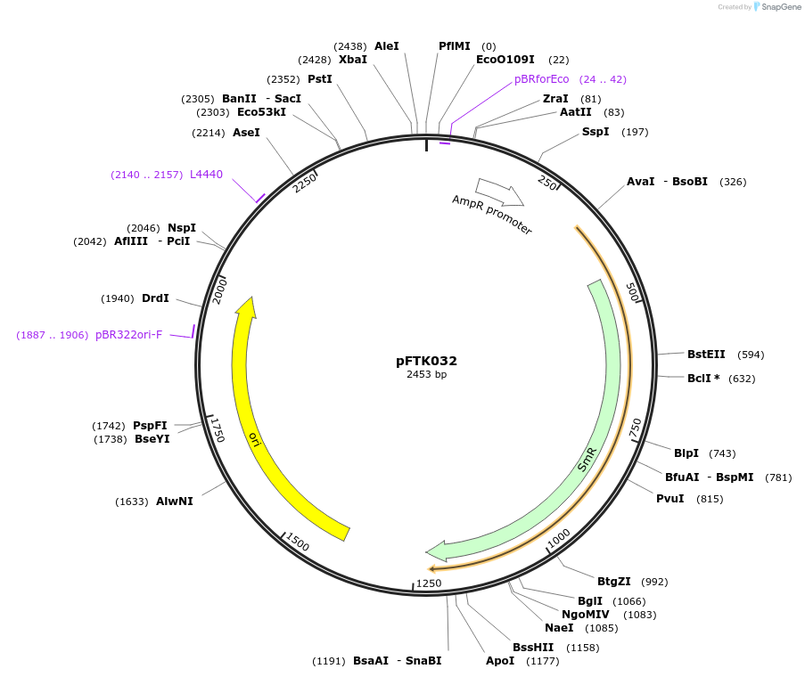 171304-plasmid-map-sequence-id-350159
