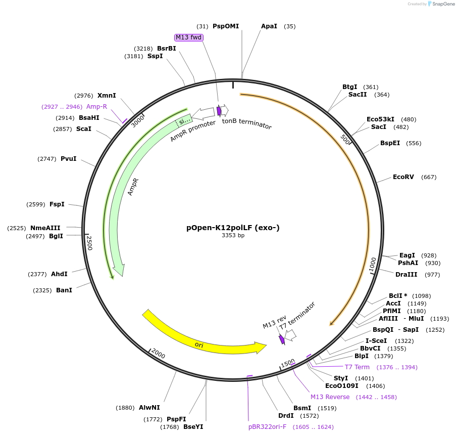 165522-plasmid-map-sequence-id-350938