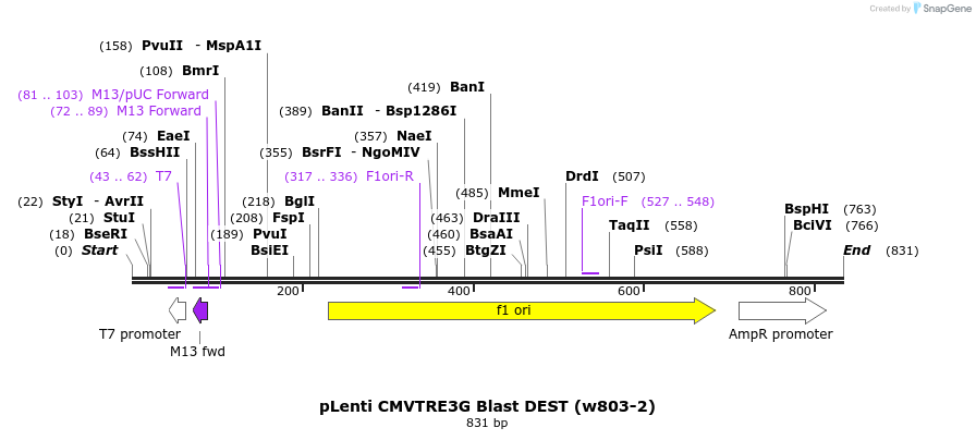 35111_map
