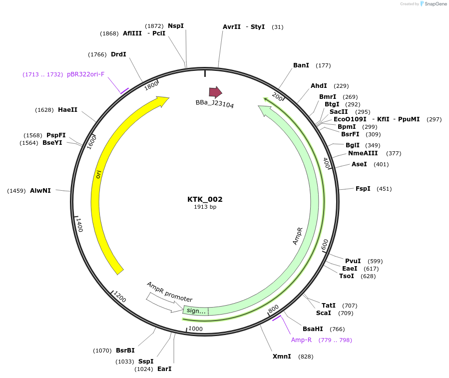 180527-plasmid-map-sequence-id-359428