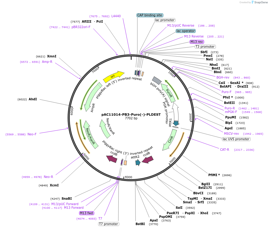 360257_map