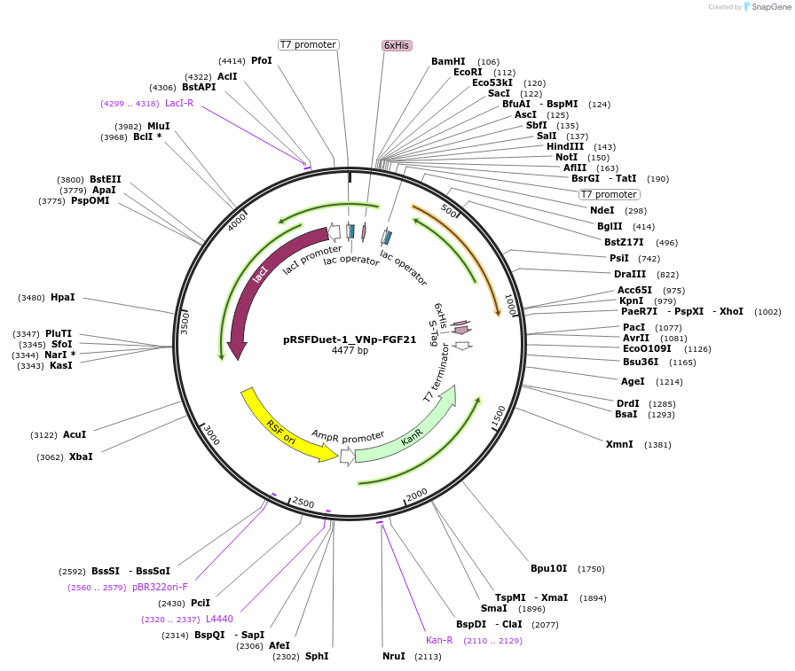 182407-plasmid-map-sequence-id-360454