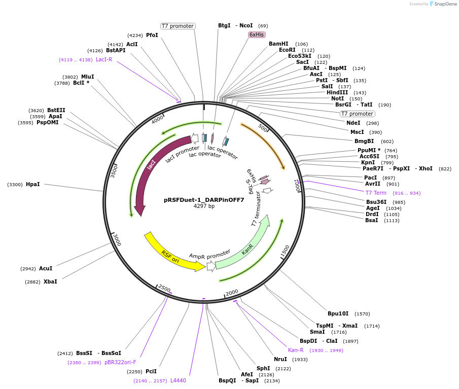 182396-plasmid-map-sequence-id-360644