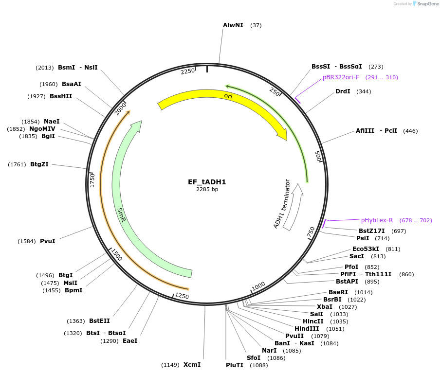 368772_map