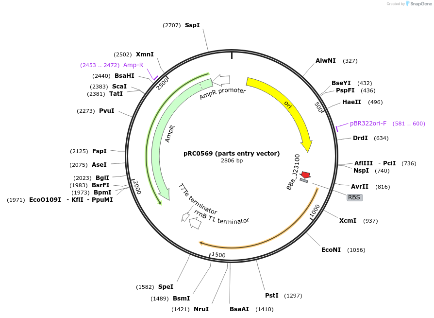 189966-plasmid-map-sequence-id-373300