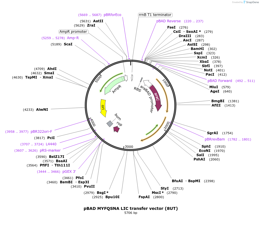382471_map