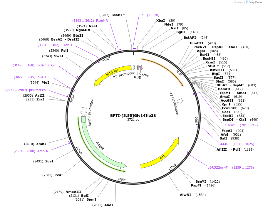 195059-plasmid-map-sequence-id-388063