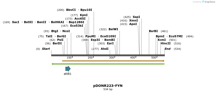 38849_map