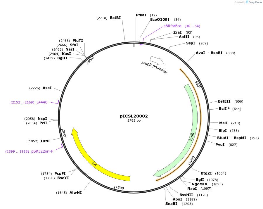 154597-plasmid-map-sequence-id-396916