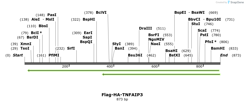 39935_map