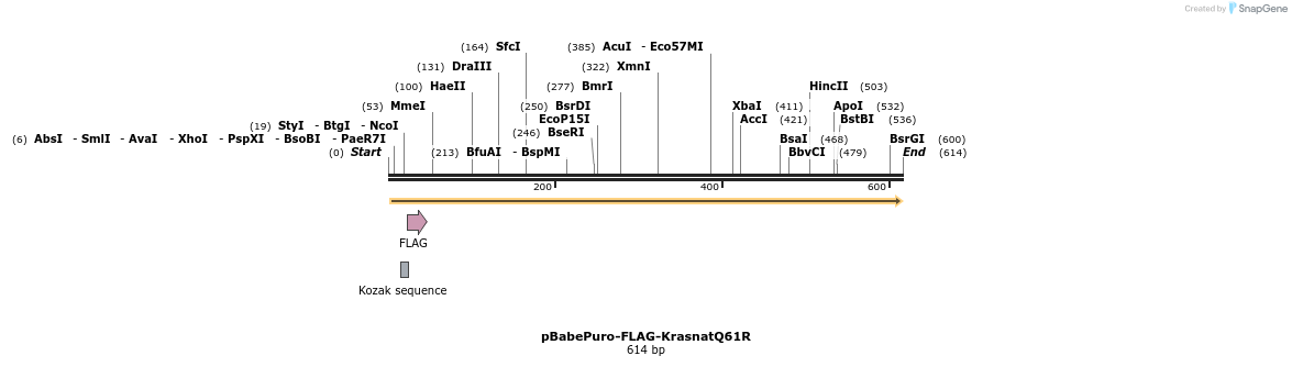 402722_map