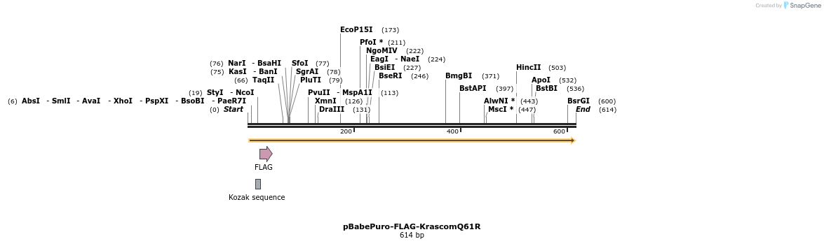 402723_map
