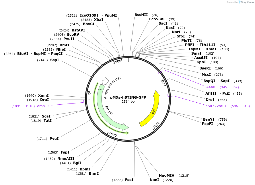 405400_map