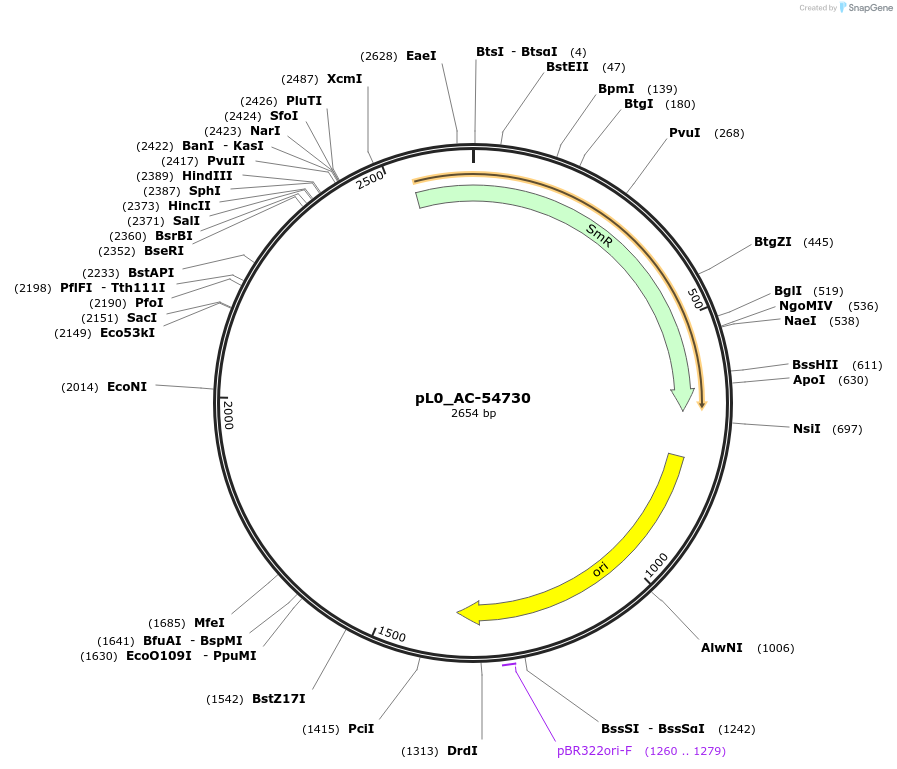 202109-plasmid-map-sequence-id-405433