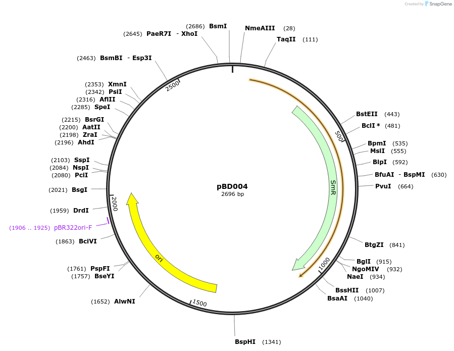 201304-plasmid-map-sequence-id-409541