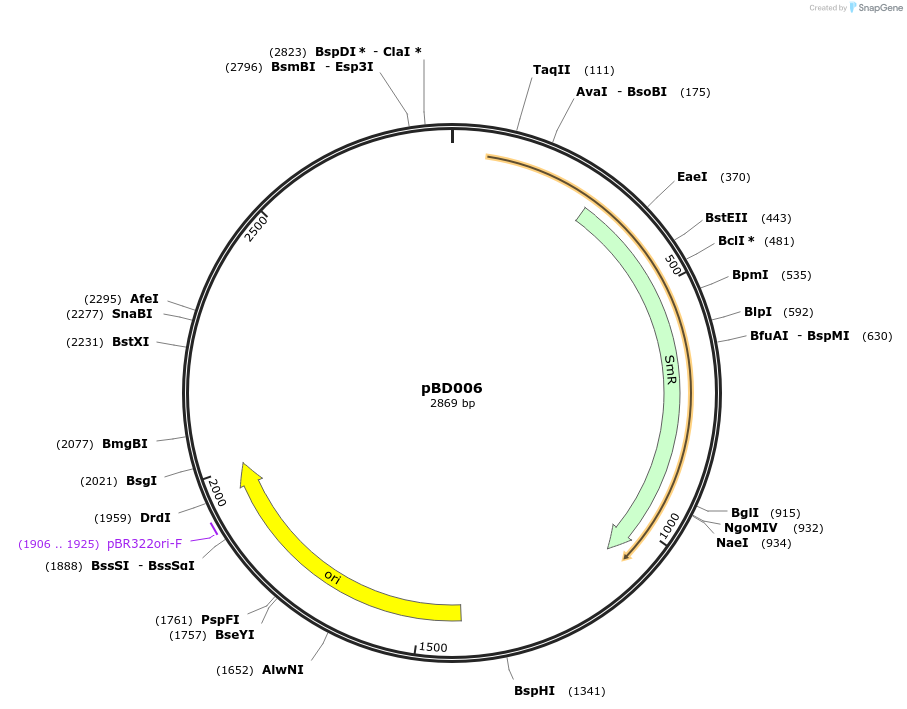 201306-plasmid-map-sequence-id-409554