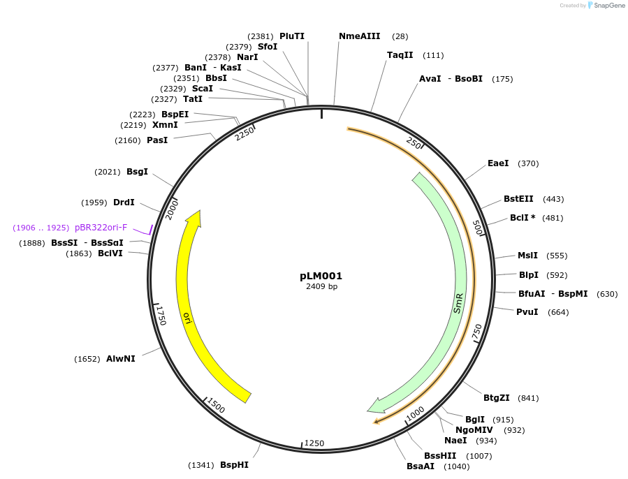201311-plasmid-map-sequence-id-410106