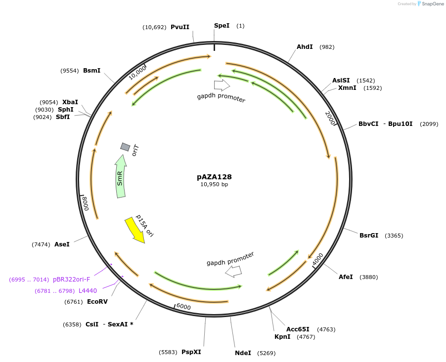 410642_map