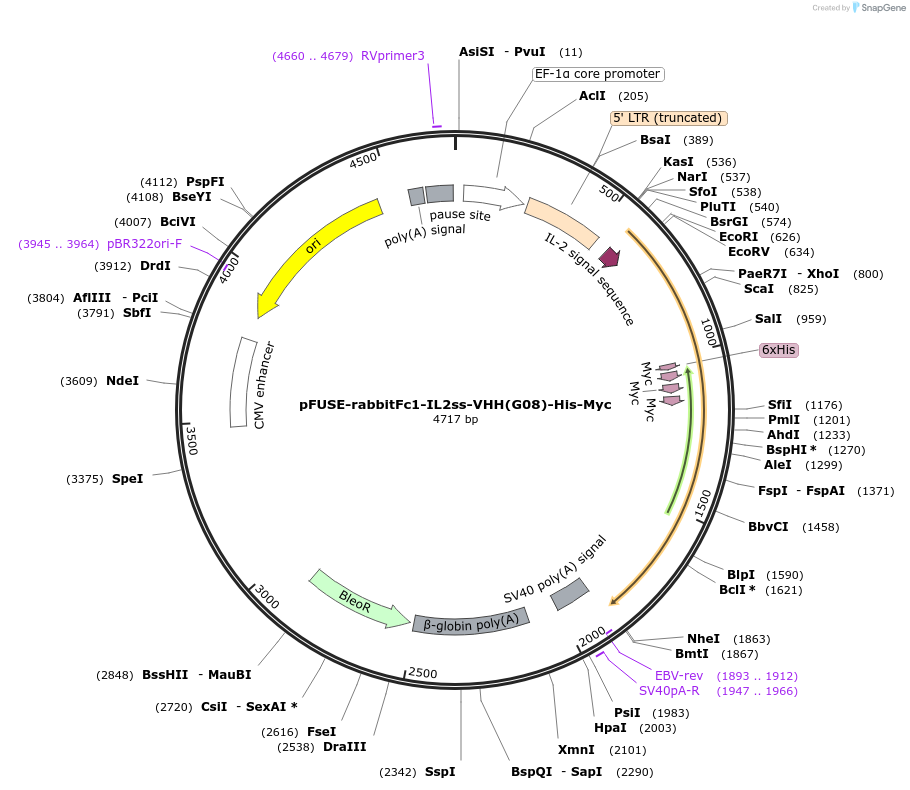 209857-plasmid-map-sequence-id-414817