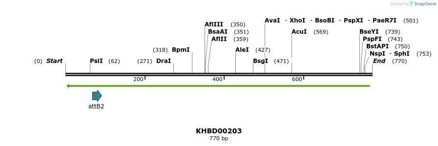 42054_map