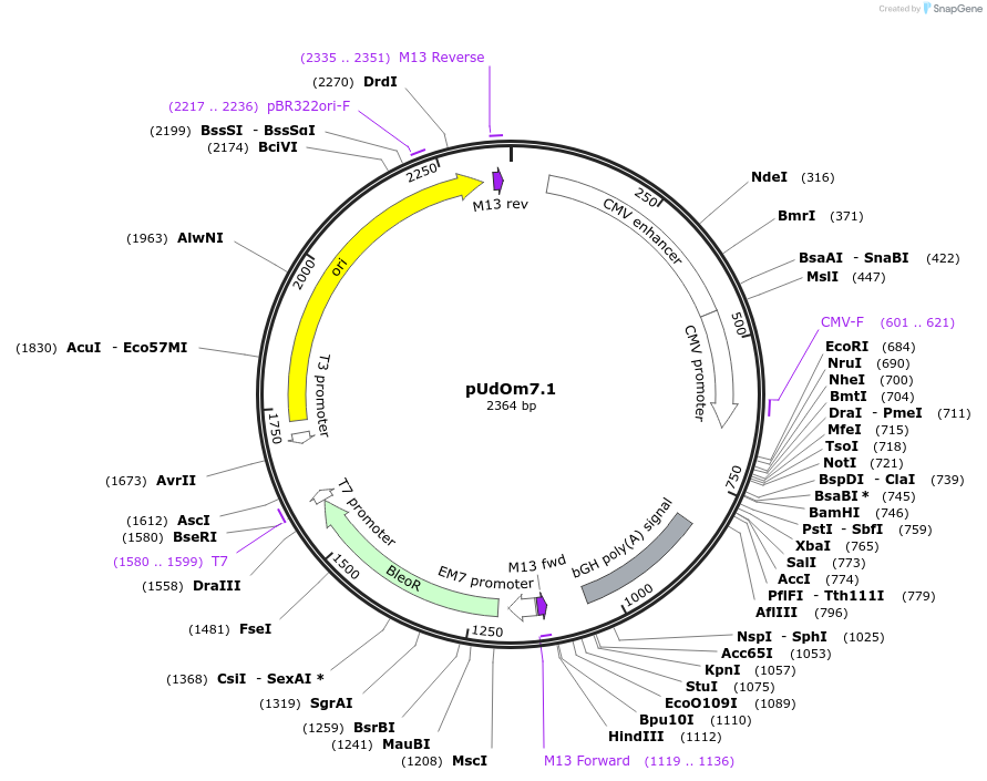 210287-plasmid-map-sequence-id-422573