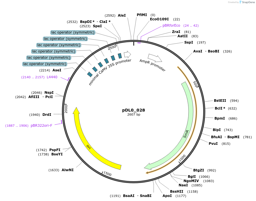 210759-plasmid-map-sequence-id-422657