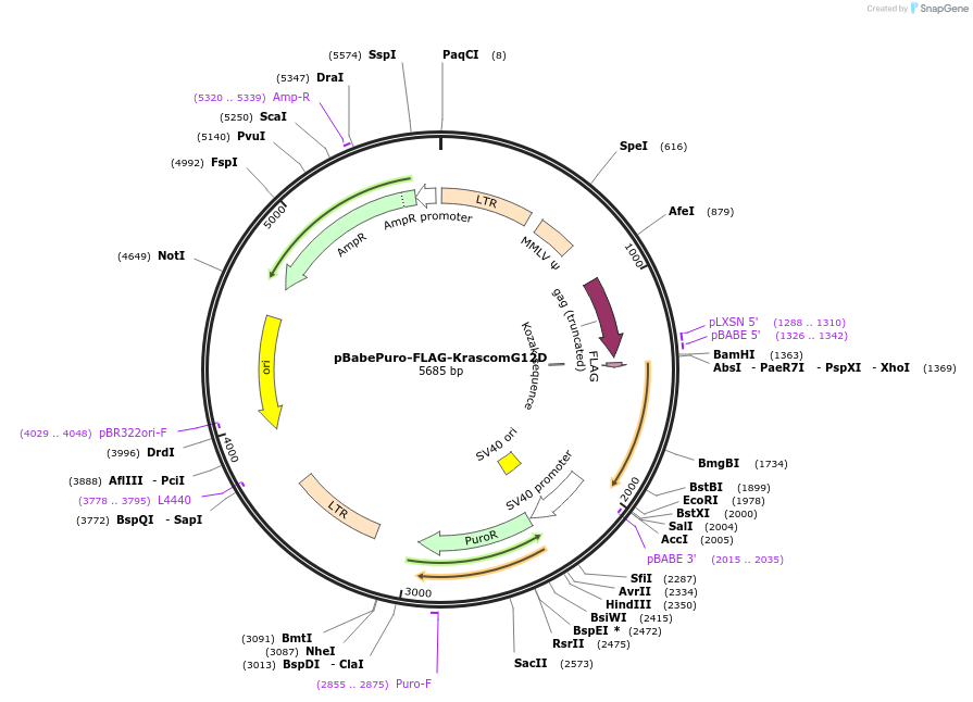 430069_map