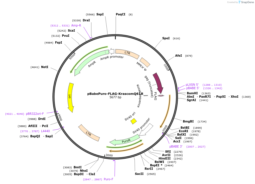 430070_map