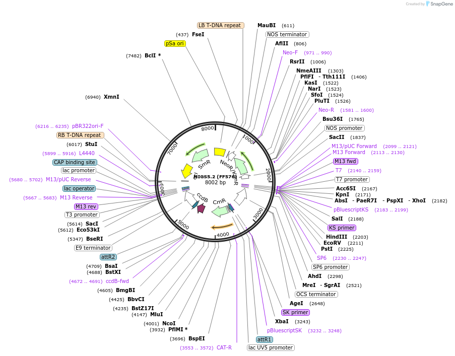 35254-plasmid-map-sequence-id-43069