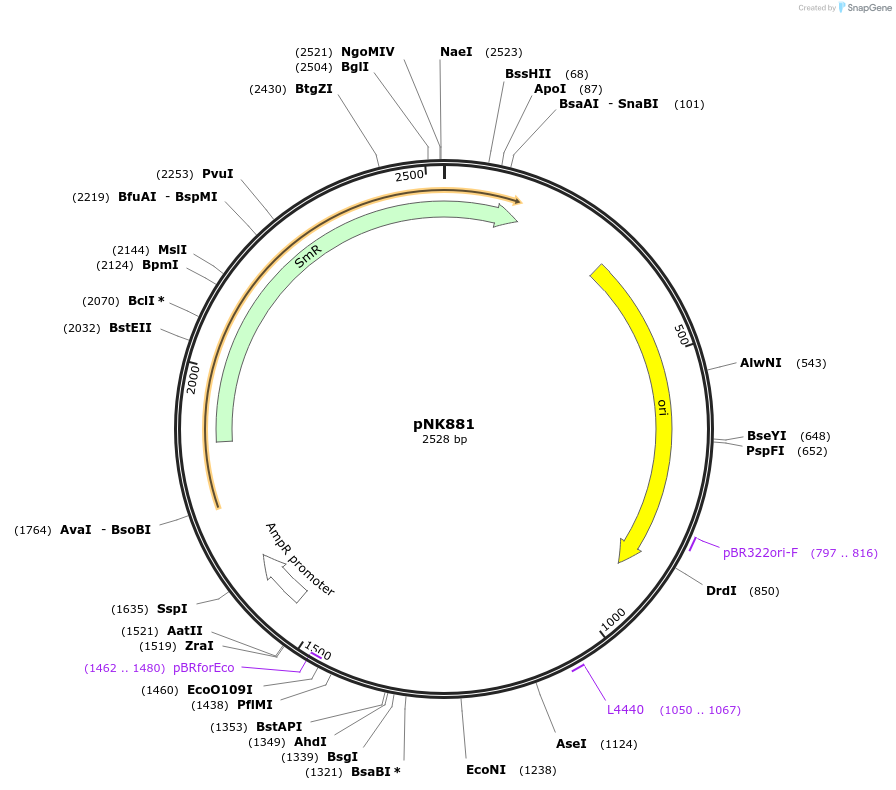 219730-plasmid-map-sequence-id-437069