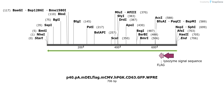 441265_map