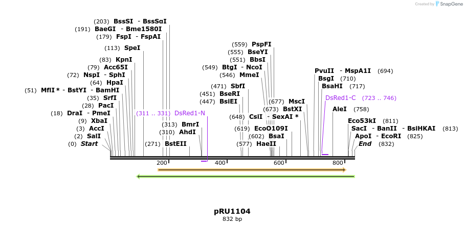 44818_map