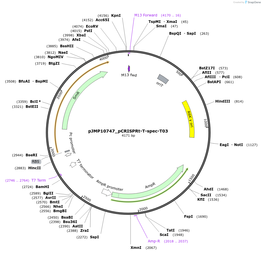 448361_map
