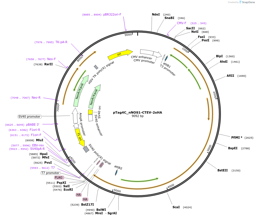 449411_map