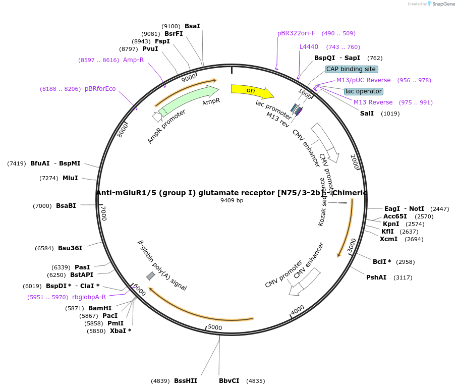 227029-plasmid-map-sequence-id-450508