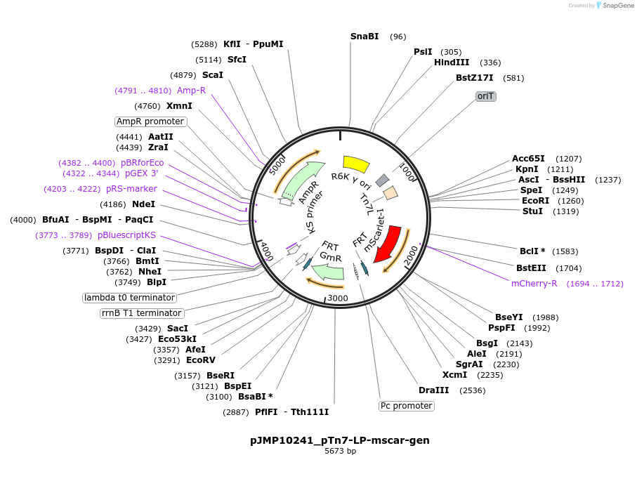 459049_map