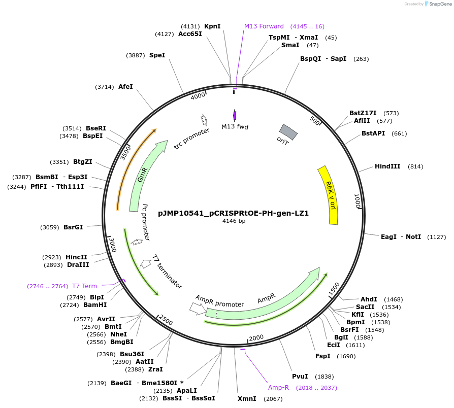 459303_map