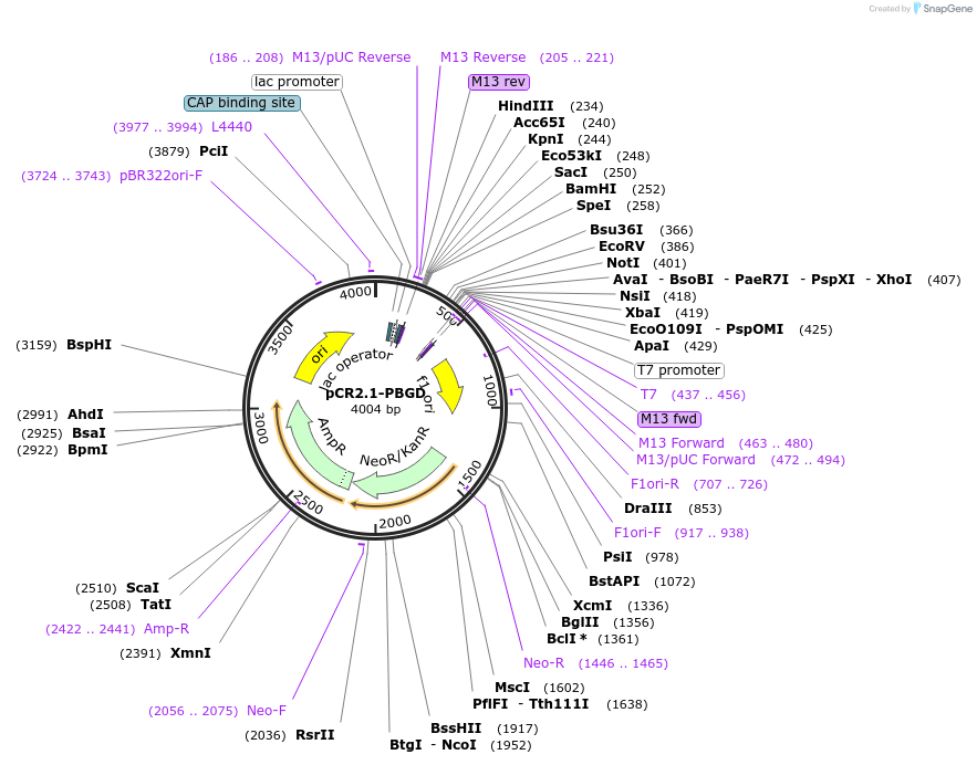 36869-plasmid-map-sequence-id-46087