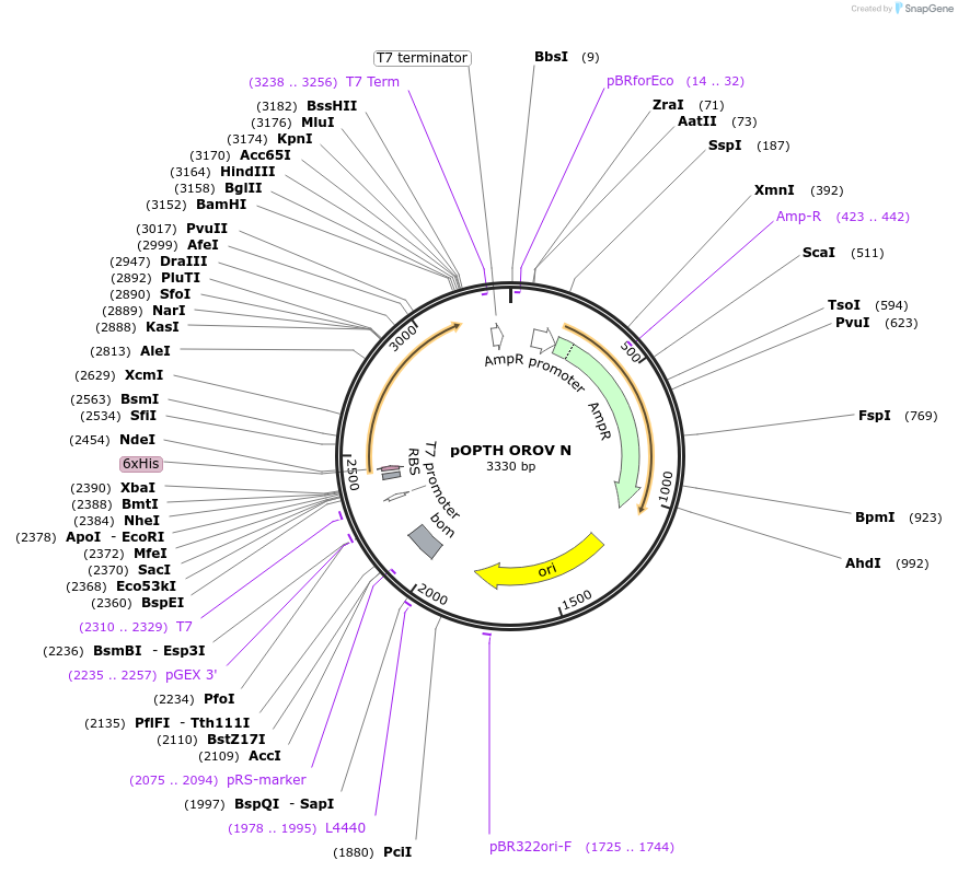 229663-plasmid-map-sequence-id-461169