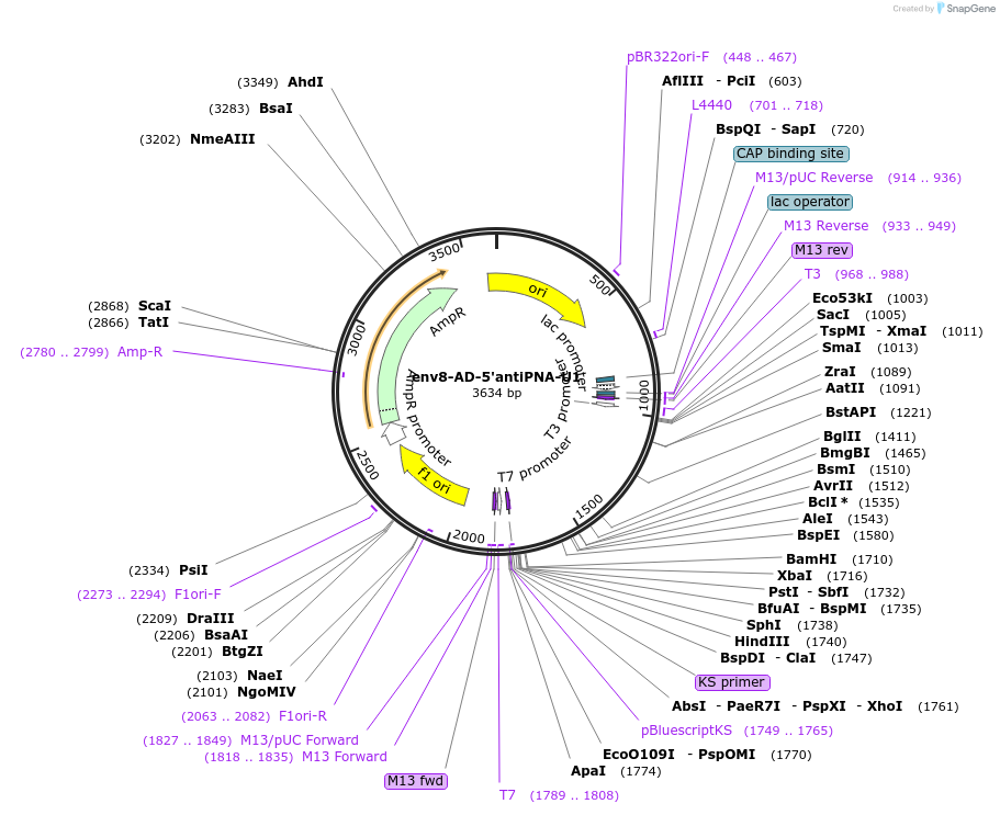 233011-plasmid-map-sequence-id-461195